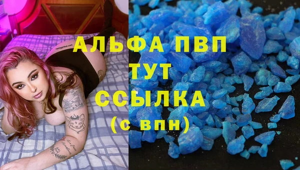 хмурый Алзамай