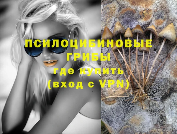 хмурый Алзамай