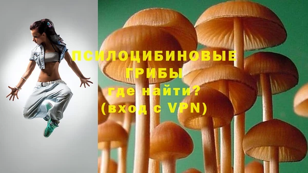 спиды Алексин