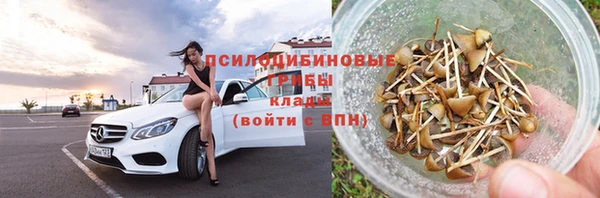 шишки Алексеевка