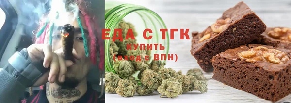 хмурый Алзамай