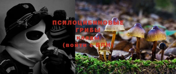 спиды Алексин