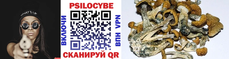 Псилоцибиновые грибы Psilocybe  хочу   это формула  Зуевка 
